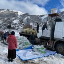 서리축산 이미지