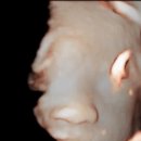 차차여성의원 이미지