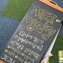 제주양판점