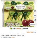 계절그리기 | 소풍 도시락 초코펜으로 케데헌 더피 까치 그리기 망한 후기 리락쿠마 도시락통 용품 X손 도시락