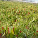 놀이터PC방 이미지