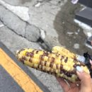 서울 마운자로 싼 병원/ 마운자로 후기/ 13kg 감량후기/ 5mg 처방-첫째주 기록