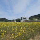 선암스테이 이미지