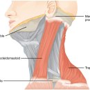 대웅한의원 이미지