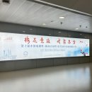 G150 | 인천-상해(상하이) 중국남방항공 푸동공항 기내식 좌석 후기 CZ314 CZ313