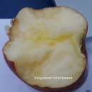 산내골농장 이미지