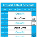 크로스핏 핏불 이미지