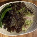 대성한우암소식육식당 이미지