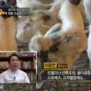 백봉한의원 네이버블로그