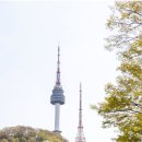 남산쭈꾸미 이미지