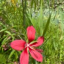 기지초등학교 이미지