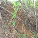 이건농장 이미지