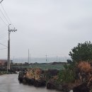 판포3355 | 바다가 보이는 오션뷰 제주독채풀빌라 판포3355