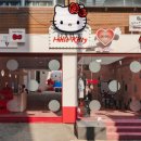 레이브 한국목재신문