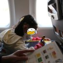 ㈜황금자동차정비 | [군산-제주] 버스 타듯 걸어가서 타는 제주항공 7C623편 탑승기 / KUV-CJU / 제주 무지개렌트카 후기