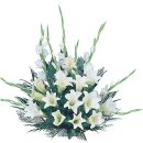 정규혁 성균관대학교 약대 학장 부친상 - 발인 12월19일 이미지