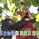 윤정수농장 이미지