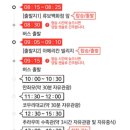 고래상점로스터리 | ✨ [오키나와 1일 버스투어 후기] 만좌모, 코우리대교, 츄라우미수족관, 아메리칸빌리지 🌴