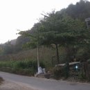 월악민박 이미지