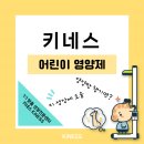 키네코어 이미지