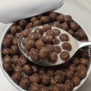 오곡 구성 | 포스트 오곡 코코볼컵 간식 원픽