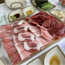큰고래수산