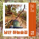 모두와 하루(무장애 여행) | 도심 속 장벽 없는 하늘길, 남산 무장애여행 하늘숲길