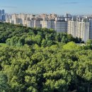 탄현체육공원 축구장 이미지