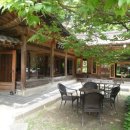 새소리물소리 이미지