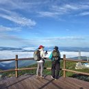 노고단-9 이미지