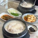 호미들고스테이 이미지