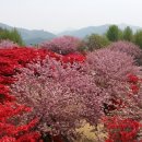 여자경로당 이미지