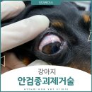 으뜸원동물병원 이미지
