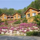 민주지산자연휴양림 이미지