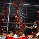 한솔농원 이미지