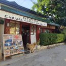 먼바다 민박 | 세부 모알보알 가성비 숙소 위치갑 마리나빌리지(조식, 레스토랑, 수영장) 솔직 후기