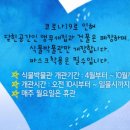 원주허브팜 네이버블로그
