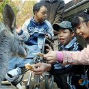 서울대공원노동조합 이미지