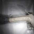 속초삼성동물병원 이미지