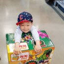 럭키꿀템