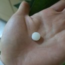 티스바이오 이미지