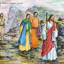 연중 제15주일:7월 14 마르 6,7-13: 예수께서는 열두 제자를 파견하셨다. 조욱현신부 이미지