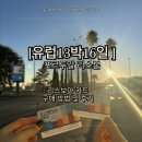 메트로센터관광안내소 | [유럽13박16일] 리스본 Lisboa 리스보아 카드 할인 구매 방법 &amp; 사용 후기