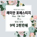 행복래미안부동산중개사무소 | 부산 랜드마크 래미안 포레스티지 / 인기 많은 30py / 매매 / 3단지 /추천매물