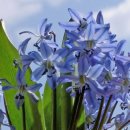 장고행정사사무소 이미지