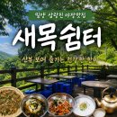 [밀양] 삼랑진 맛집 새목쉼터, 야장 감성까지 완벽했던 로컬 맛집 내돈내산 후