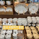 롯데마트 검단점 | 접시 인테리어템 쇼핑하기 좋은 모던하우스 검단점 방문 후기