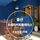유주펫 | [울산 삼산동 카페] 프레피커피플레이스 | 삼산동 조용한 펫동반 감성카페 주차가능 내돈내산 후기