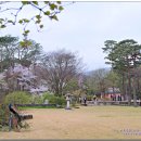 호암미술관 이미지