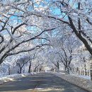 치명적인 아름다움...설악 설경 이미지